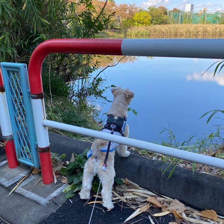 C434b291 688e 46d0 930b c4c420a2325a 1572841074715