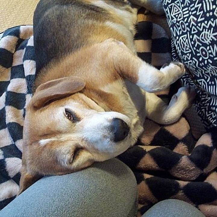 C434c85b 82b5 4282 b58d 354bb3628e2b 1637713651388