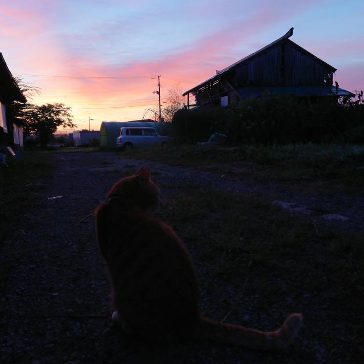 C4353022 c5ce 46d3 aa2c ab27829f67b0 1568319735678