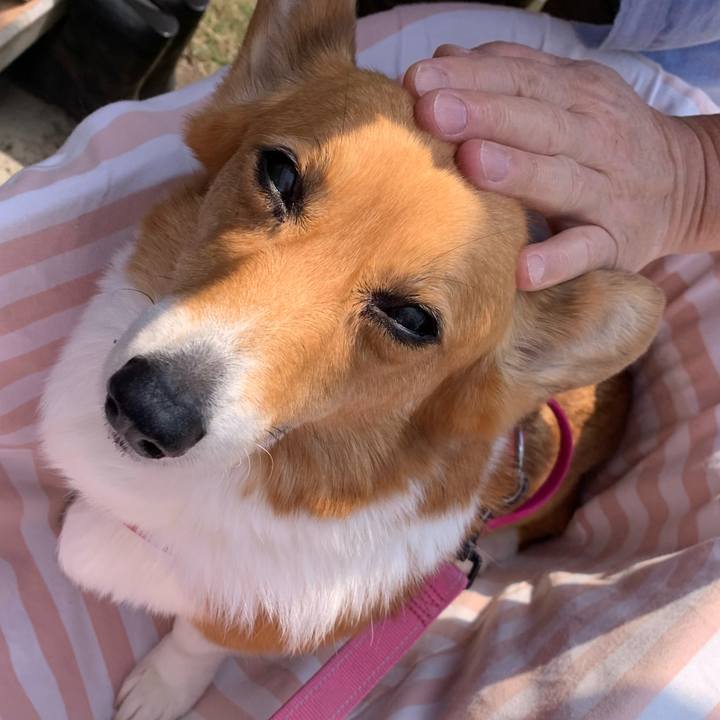 C4353c20 3485 497f b8e6 7982e4f00261 1682992239222