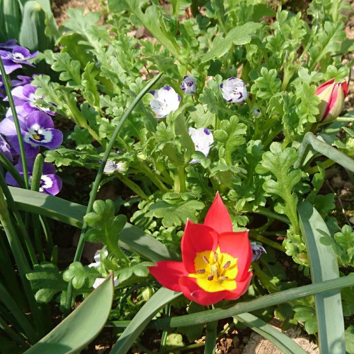 C4356254 fd78 444d 8be0 4e110083e923 1521954479464