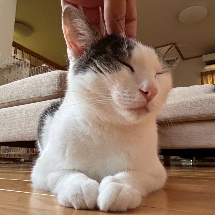 C4356df3 1cbf 42f3 bb26 e3d1b1724621 1756505113367