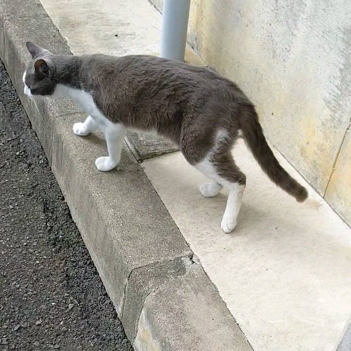 C4357ccd dd37 43b9 b56a db22a6d94b24 1593128034773