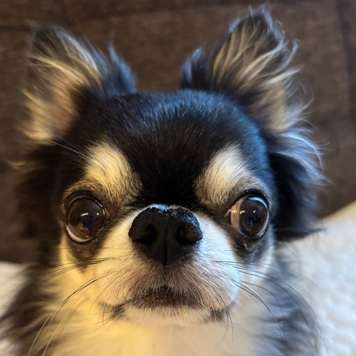 C435c07f 6505 4d12 b8c3 593b9f092ed8 1751065999031