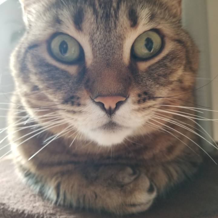 C435d461 c0c7 43b8 950e cc7aaae02816 1613171794215