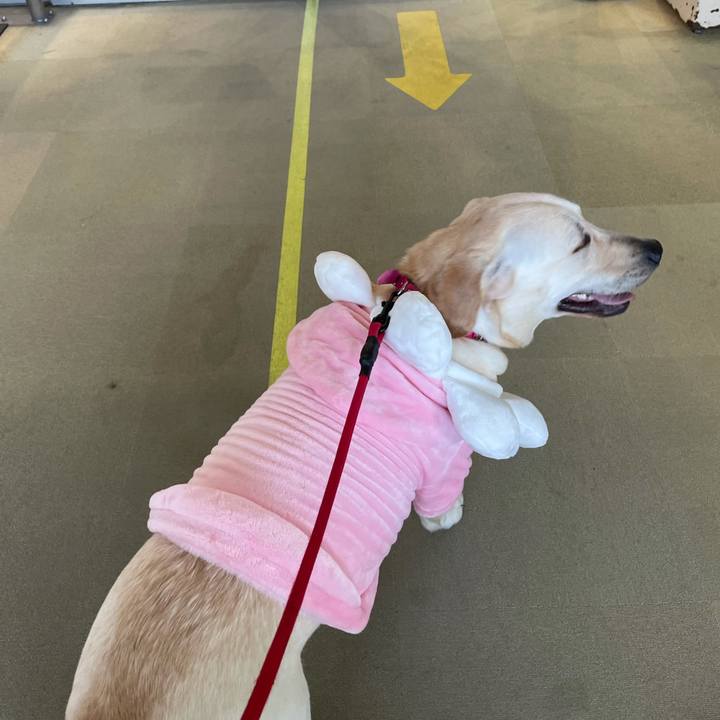 C435eca7 603a 4805 a591 6996d8d2ff5f 1634560444331