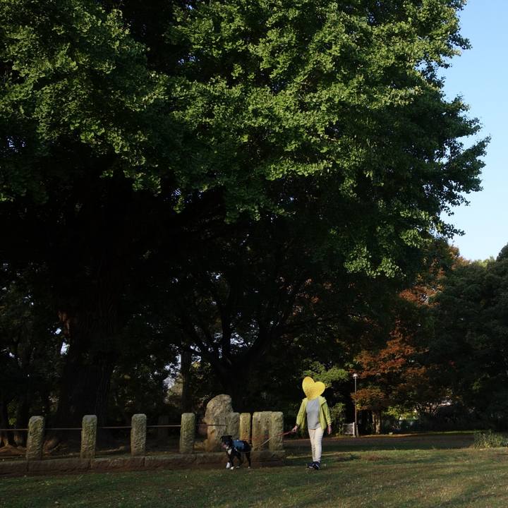 C435fa27 00b0 407f 921b 3fc9d48b8108 1731545401527