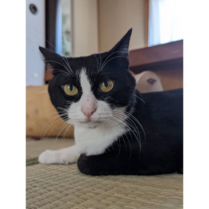 C4362e2f 1b21 4eac 82eb efa0ef40da65 1692591246052