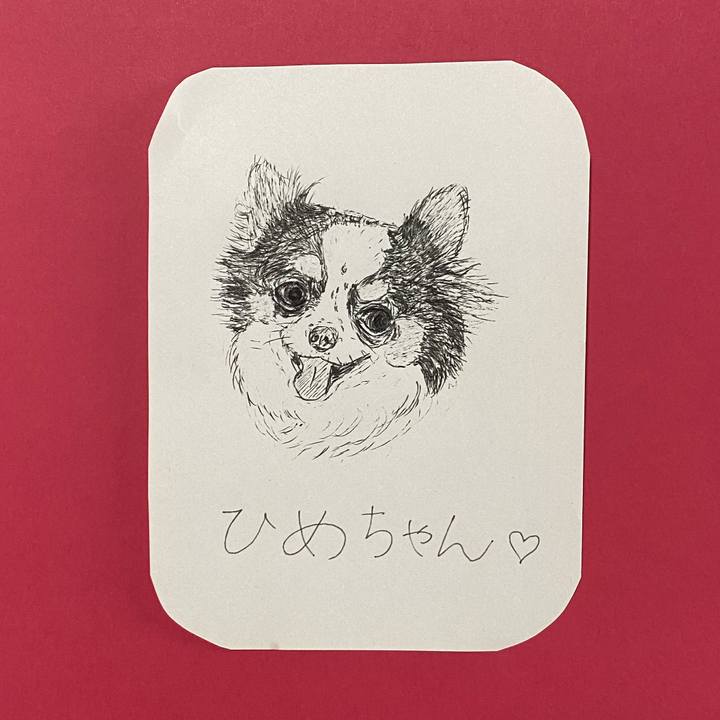 C4363901 51b2 40c1 9596 19c6eedeff88 1619838969528