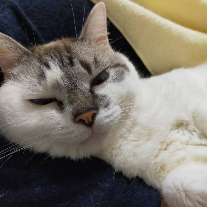 C436a0bc 6f9f 4124 a536 f2889bdc8cea 1596850631491