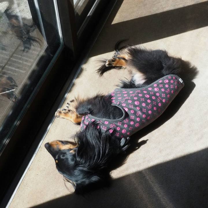 C436a1da 06c5 42cf b33c 219c70fc5800 1522806299461