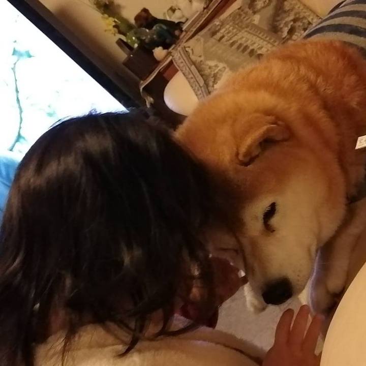 C436af31 ca02 4450 85f4 0270d9b2572a 1642636341115