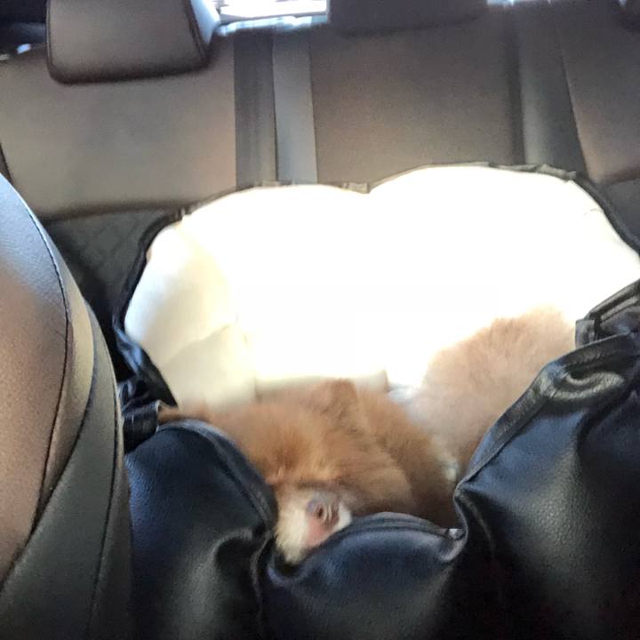 C436c9d1 4cd5 4022 87a7 56e069eebffb 1542668978921