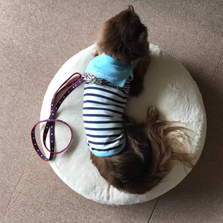 C436fdd1 02bb 4255 b9bd 48c0f075cc0e 1525227265635