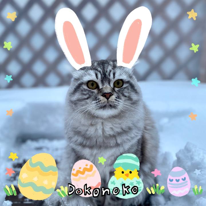 C4376588 631a 44d7 89b4 0180fe1c4af5 1712766925411