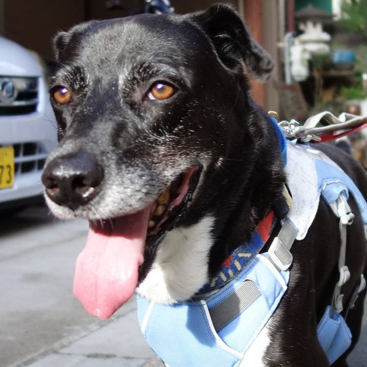 C437852b 8a46 42f7 9d6e cb94ec67d814 1722212564317