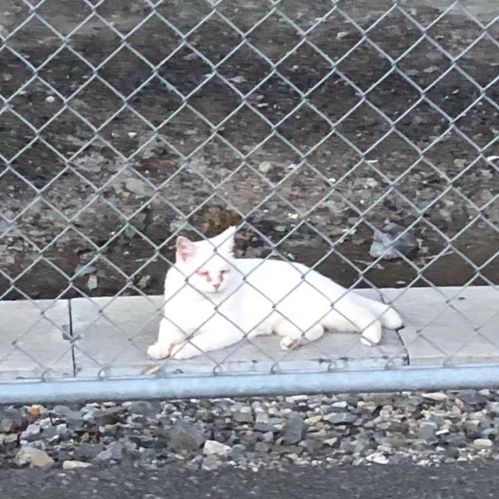 C4378791 7e54 426e 9f20 266b46d21d0a 1629886314586