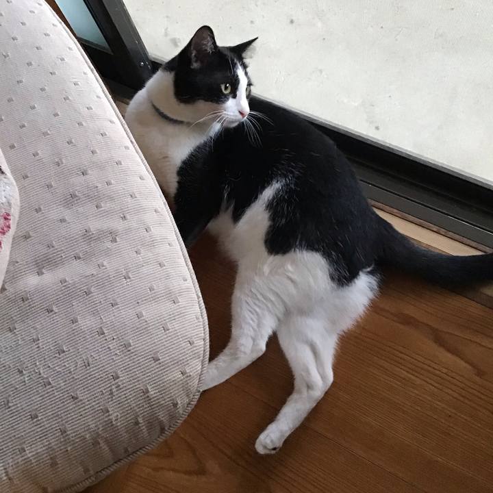 C437f722 7bad 4b40 81df 8bedff49f645 1659865889800