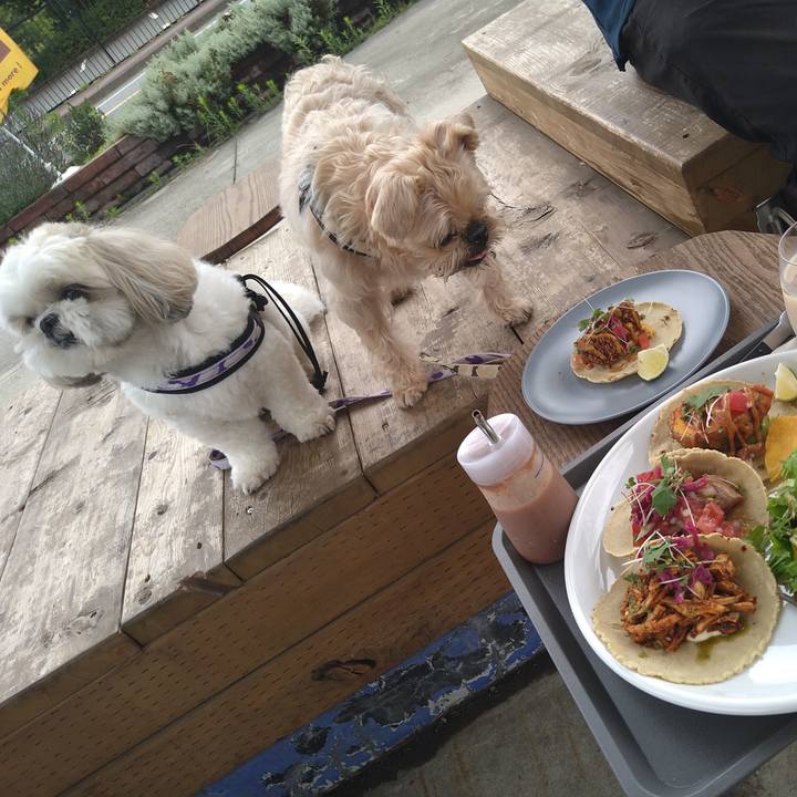 C437fa50 6842 49f8 88b9 92627af99817 1657868966273