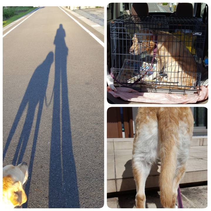 C437fbea a129 4613 b16a 788896c0bbbd 1538108654420