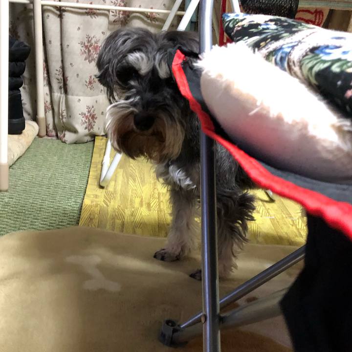 C4386e1e 4784 4db2 9810 acd597c91e9a 1553353030324