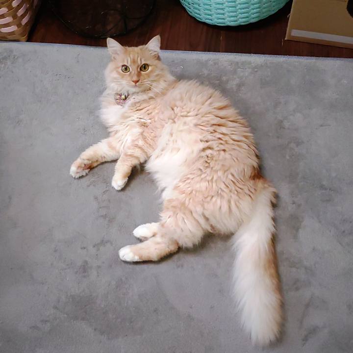 C43890dd 0d2d 4412 ad07 2892f02c961c 1705814371363