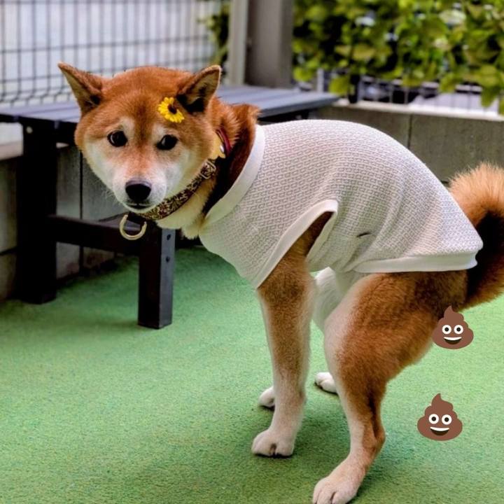 C4389238 e7f0 49c9 83bd 9bec810f9cae 1747193140612