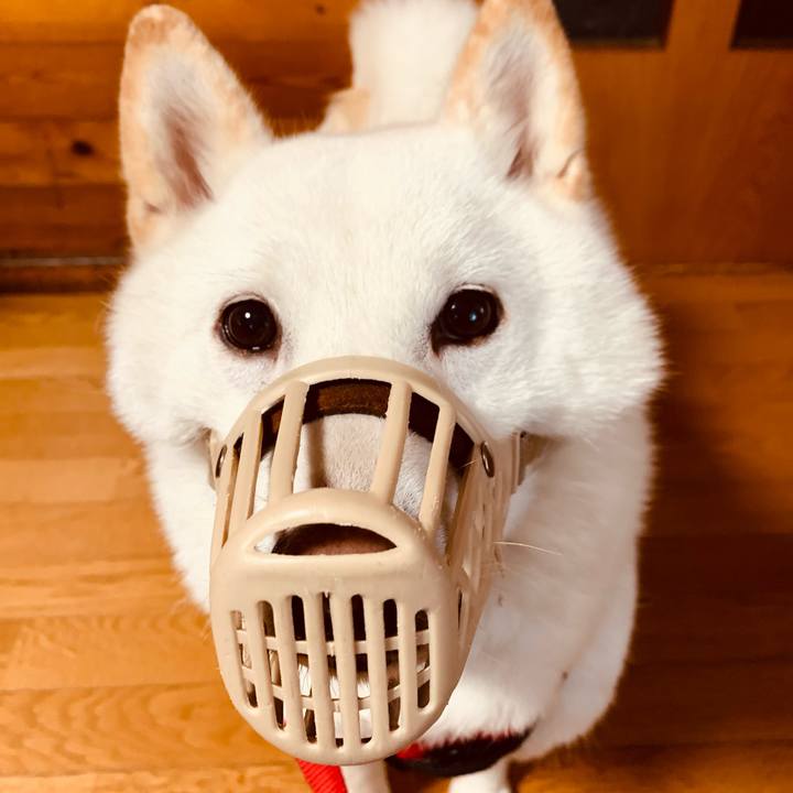 C438c532 801f 4ed8 9699 8daf991f601e 1609202471897