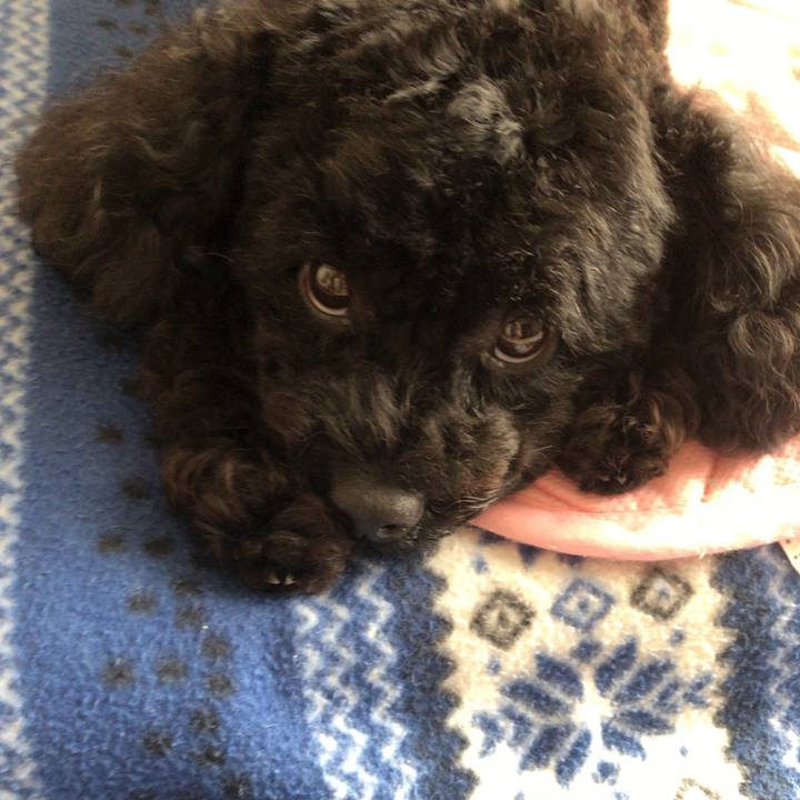 C4390090 24ec 437f 9e5a b5b36e5102c2 1558146284266