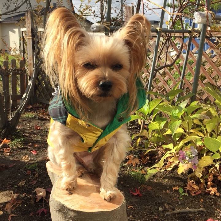 C43903ac 017d 46af 985e 86cc9078e1cb 1542262847147