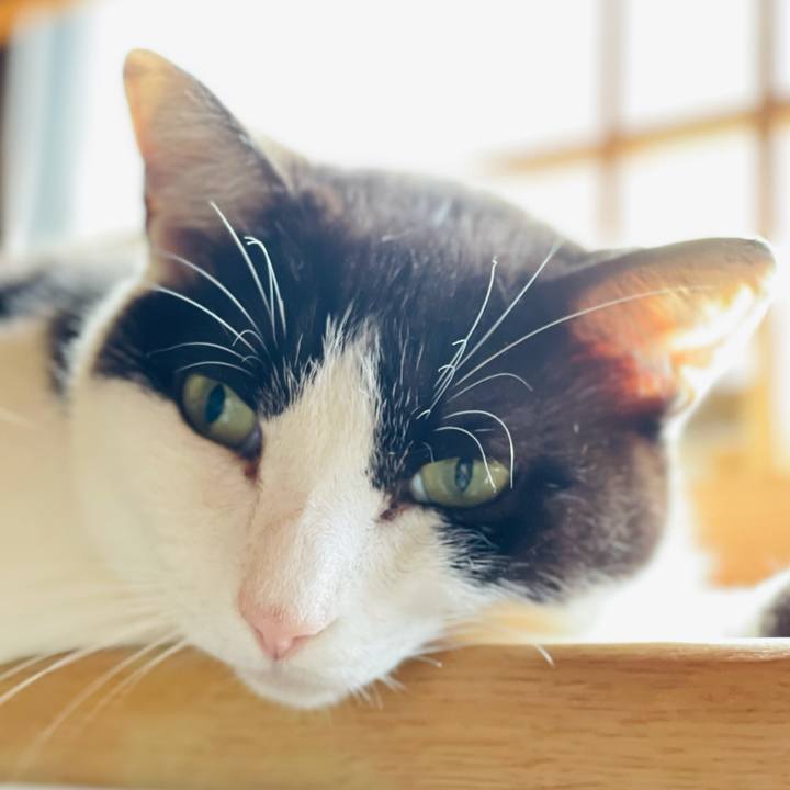 C43994c5 3acb 49cf b223 5bd33ce6f204 1626489714250