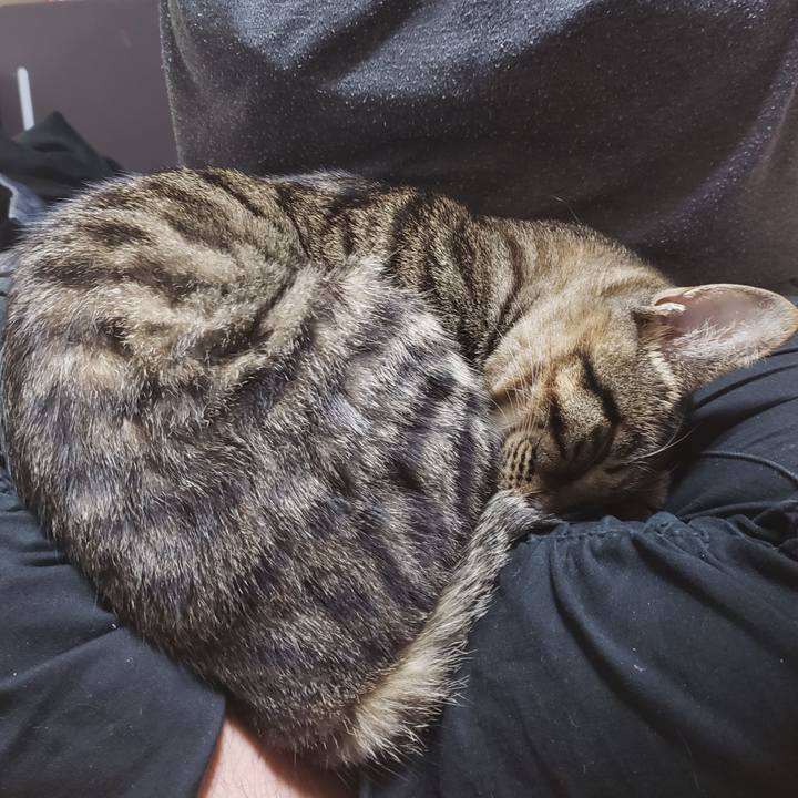 C439b67d 9c6c 47a3 8b60 14ebb13d2e42 1546764792077