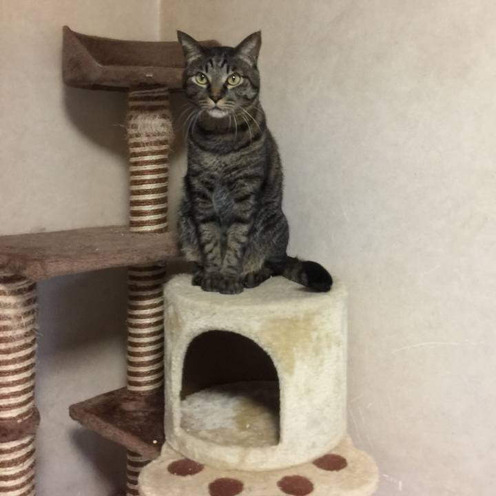 C439cae3 3dd1 4438 8722 592a7f53f3a0 1513333156147