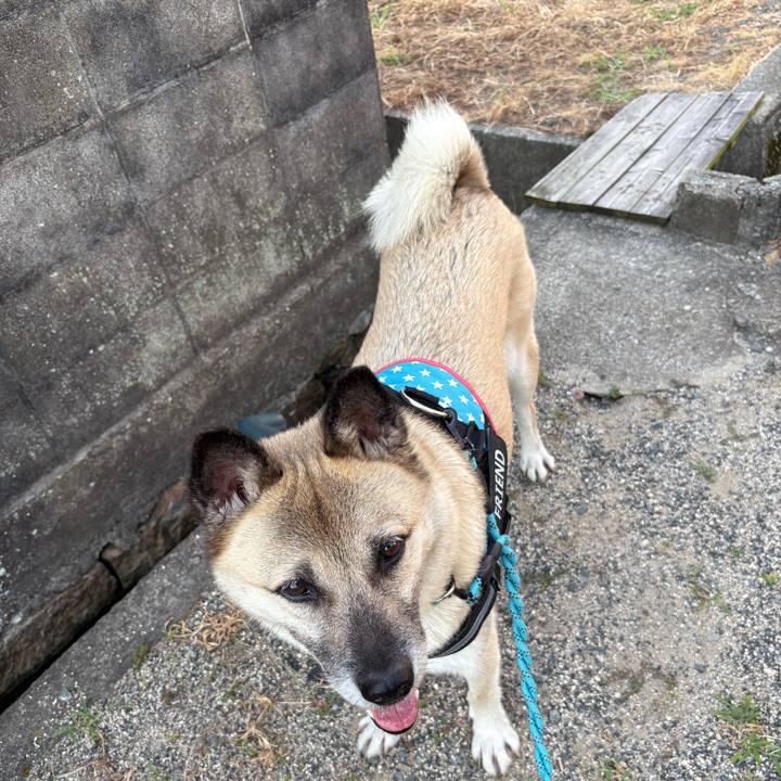 C439cfcc 69fc 45b4 961e 70a6967f2adc 1753966577821