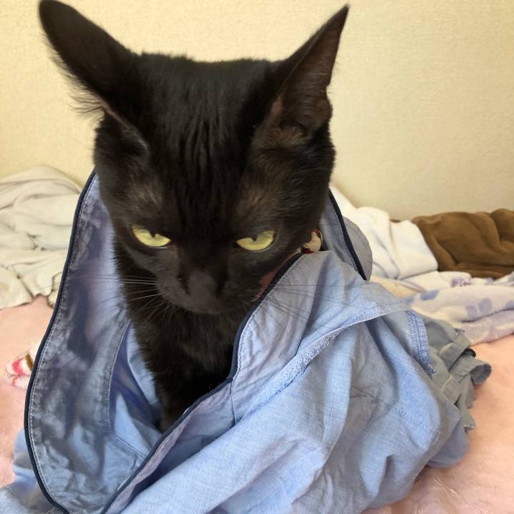 C439f087 0ee3 48fe bbba 3878602c396b 1570930175809