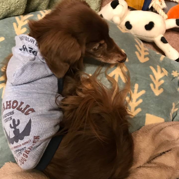 C439fc6b c297 41a6 96b2 606d5a095e41 1521033823370