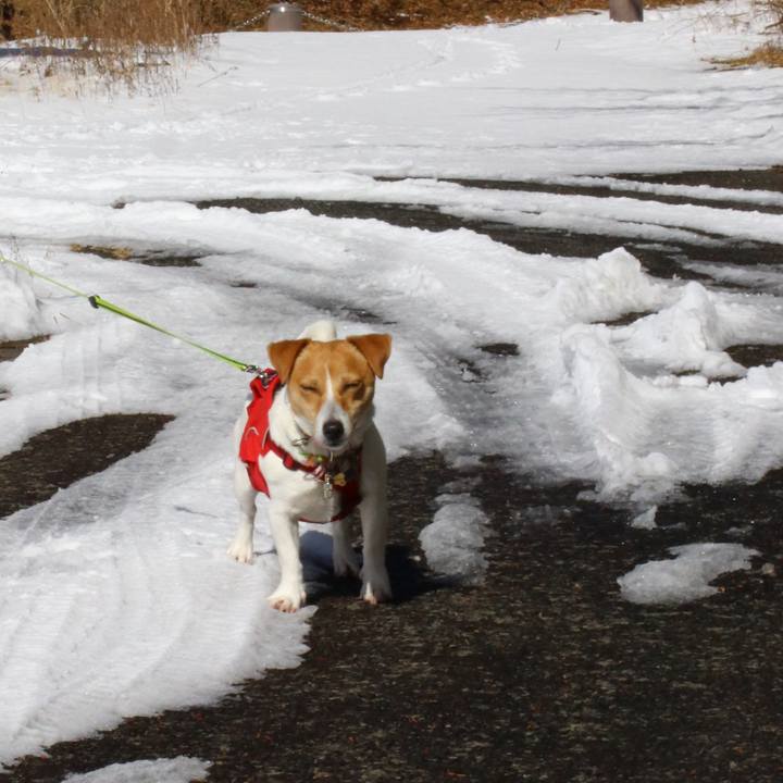 C43a068a b510 4132 89ec ecf6b9384584 1549104288964