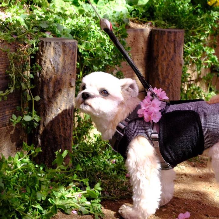 C43a6307 531f 4c77 9e8b d8fa1cabd64a 1613560828547