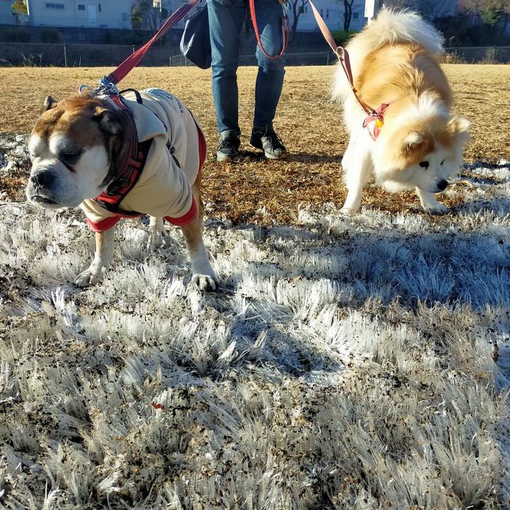 C43a93e7 f87e 49a5 8a9d 464d4e704a2f 1671873919187