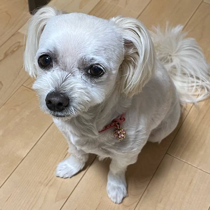 C43aadcb 9c29 413d 89c0 7d8afa52d38e 1686821696169