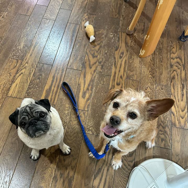 C43abba6 cb2e 4764 904a 5798640d9607 1748256933516