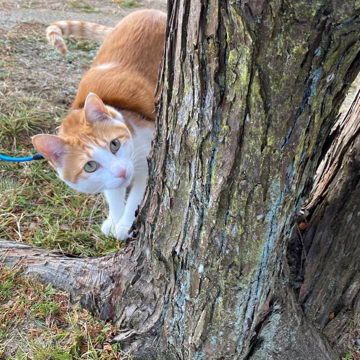 C43ad440 da12 473b bfcc ff82a81dd0d8 1580645973591