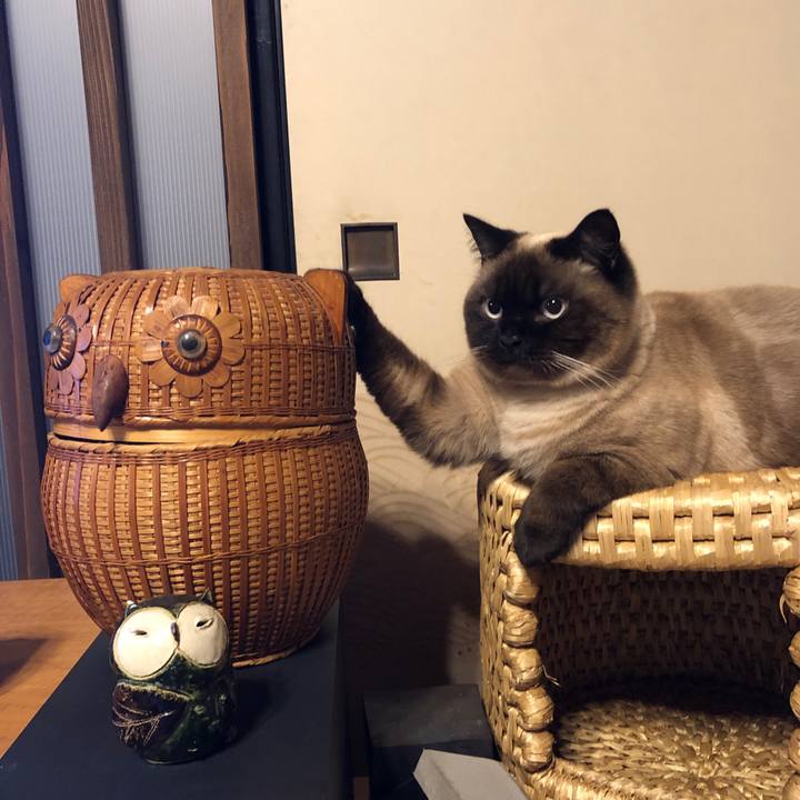 C43b1c43 4ae3 45e9 8aef d7d7b5d00371 1618887101750