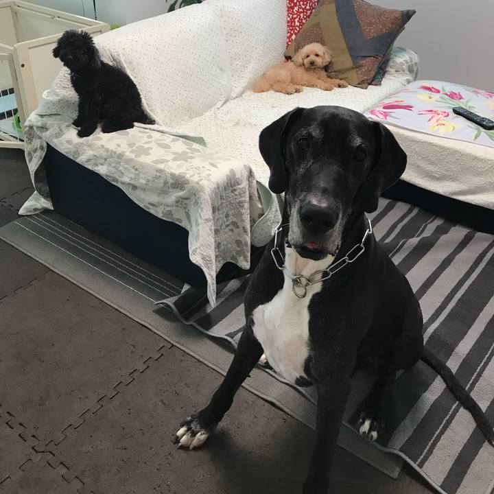 C43b7edf 3ef8 4244 b7de 0e1930d9fe78 1535323450366