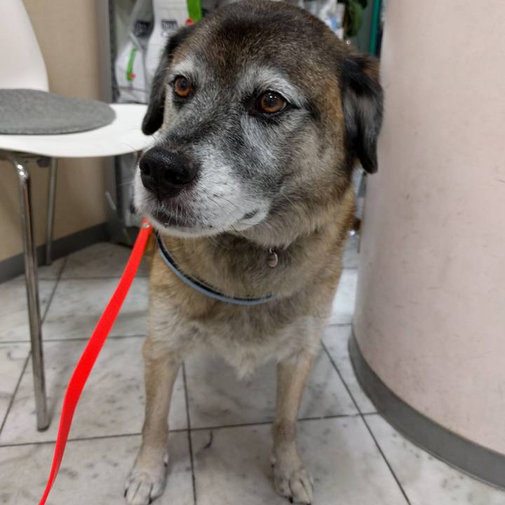 C43b8a21 2758 4c45 a828 e0b574e54e7e 1533683869111