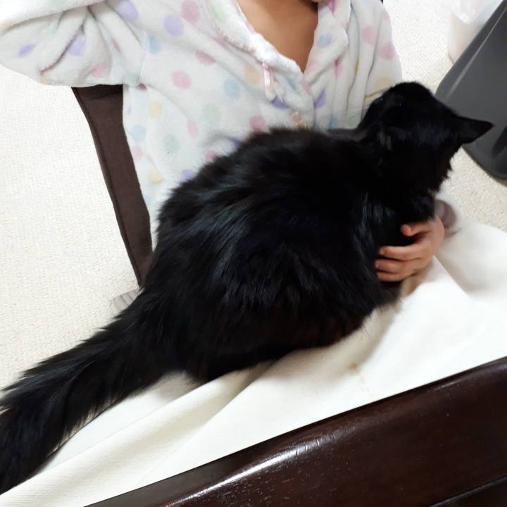 C43ba01b f614 4f5d 8f72 8b65baa6a2b6 1519513904226