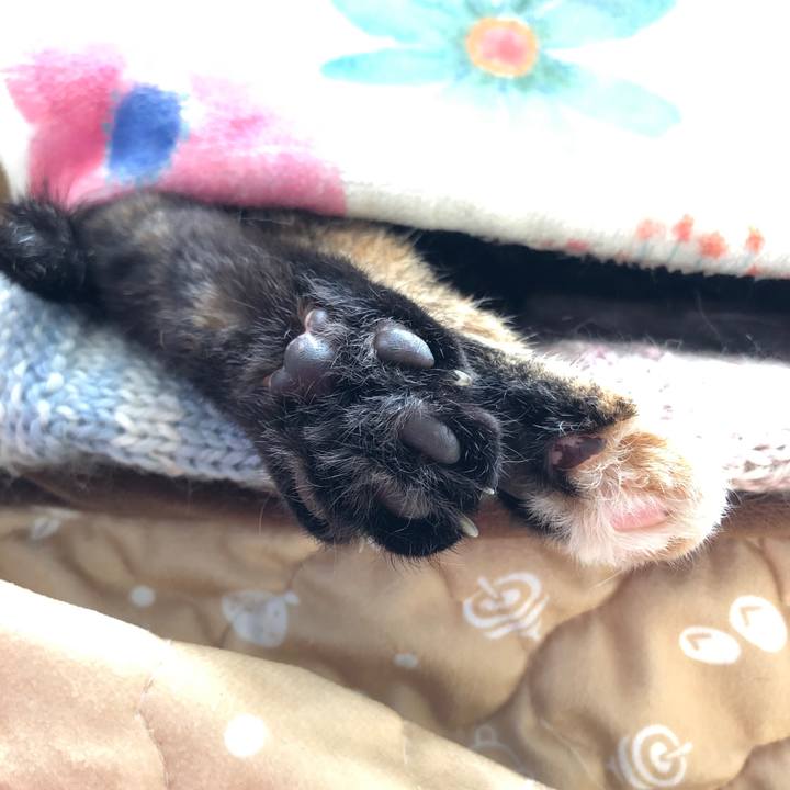 C43be94e 4e4e 491e 90f0 7a6728cd695a 1648616263107