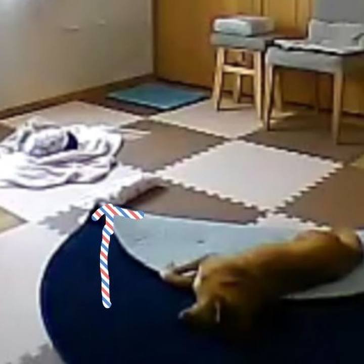 C43bfd61 282b 4263 a0c1 942c09cd08d5 1530594077553