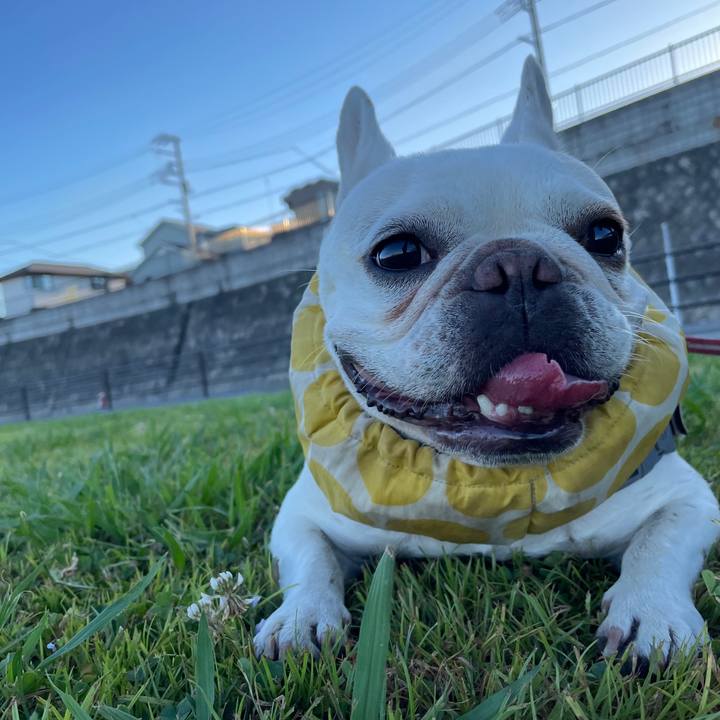 C43c0b25 b446 4f32 b73c e72b67eb01b4 1754210649403