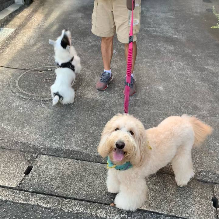 C43c2e31 d681 4661 9a65 1fd8d704900e 1693694581418